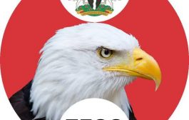 Fight Against Corruption: Group Drags Federal Legislator, Dennis Idahosa to EFCC