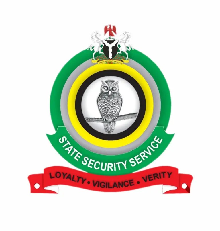 Alleged Advocacy of Coup : DSS Files 6-Count Charge against 27-yrs old man
